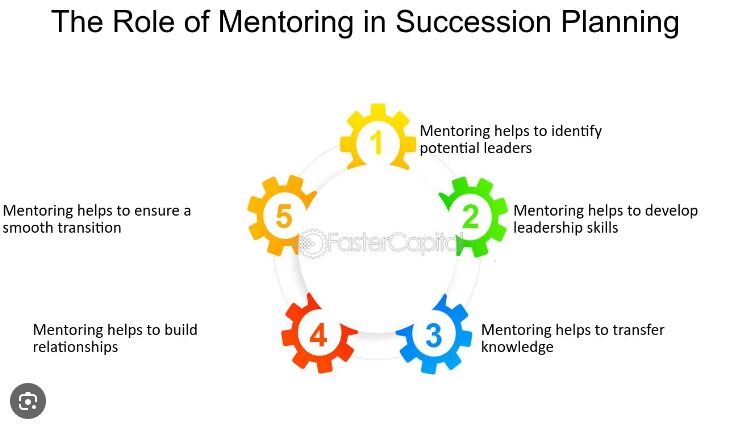 Mentorship and succession planning